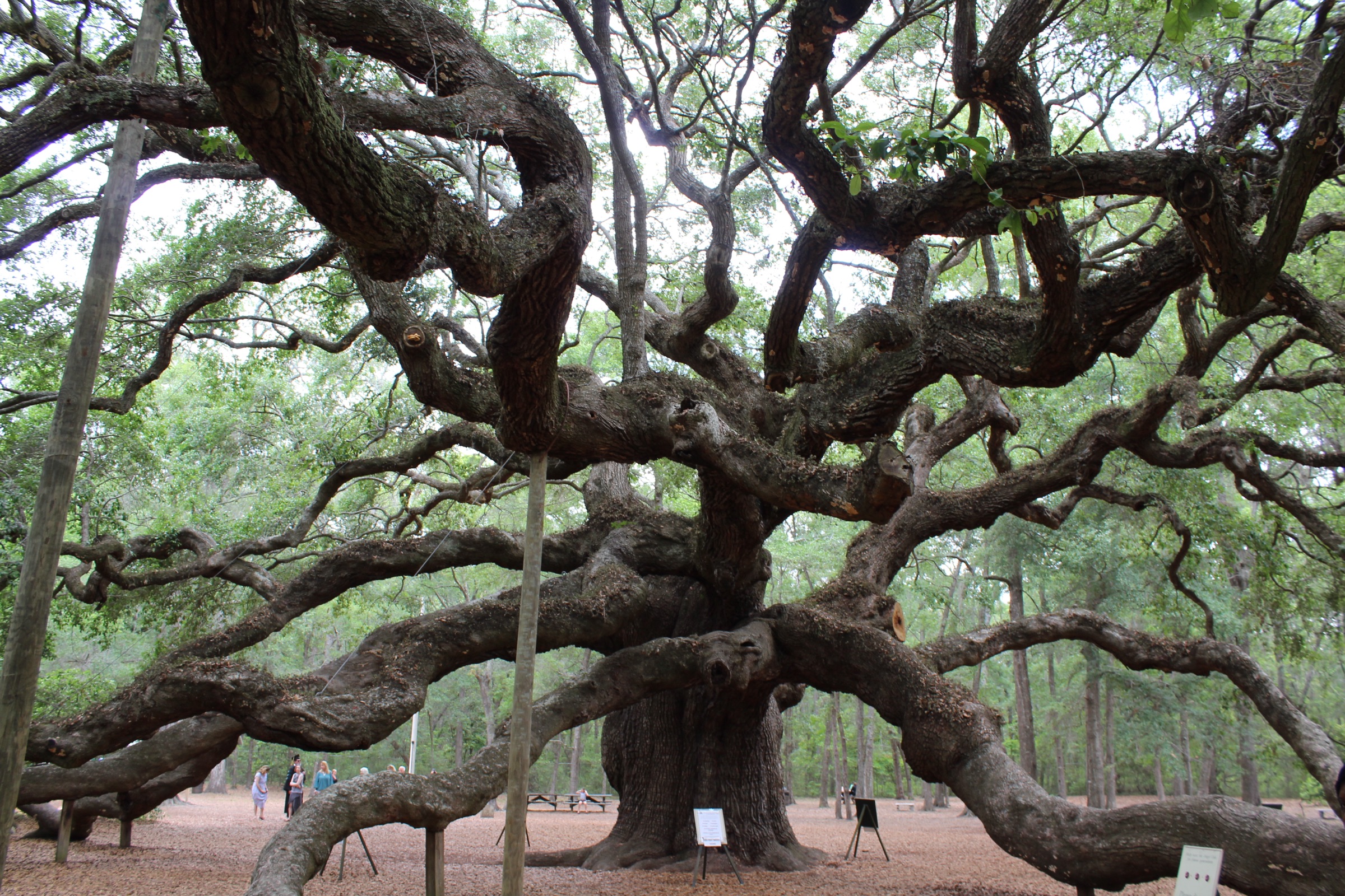 Johns Island